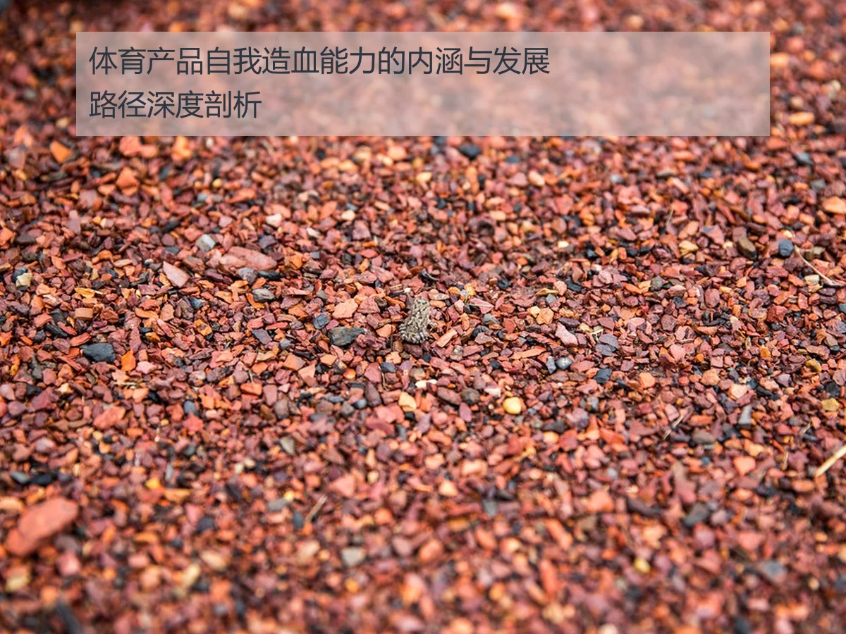 体育产品自我造血能力的内涵与发展路径深度剖析